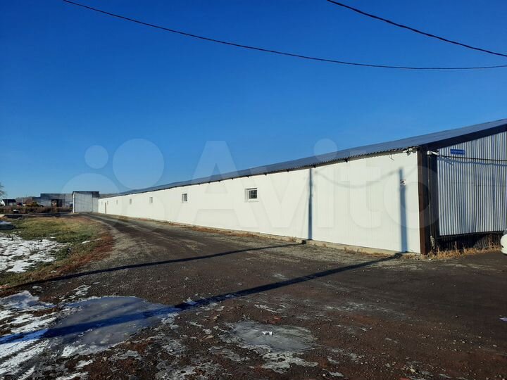 Торговая площадь, 1700 м²