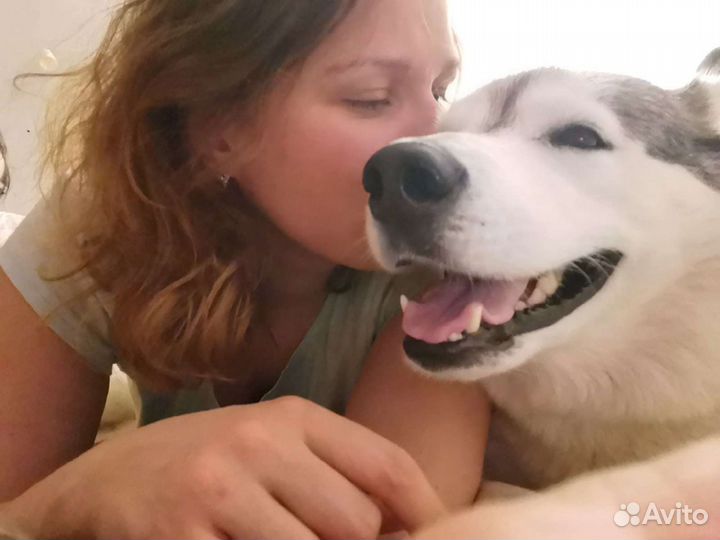 Передержка, выгул, кормление. Отпуск,выходные