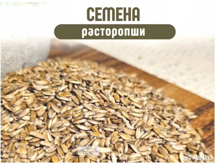 Семена рассторопши на заказ