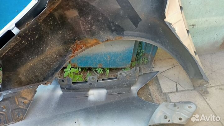 Volkswagen golf plus крылья