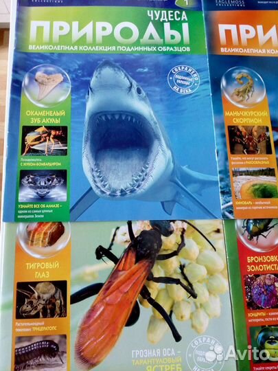 Журналы Веселый художник