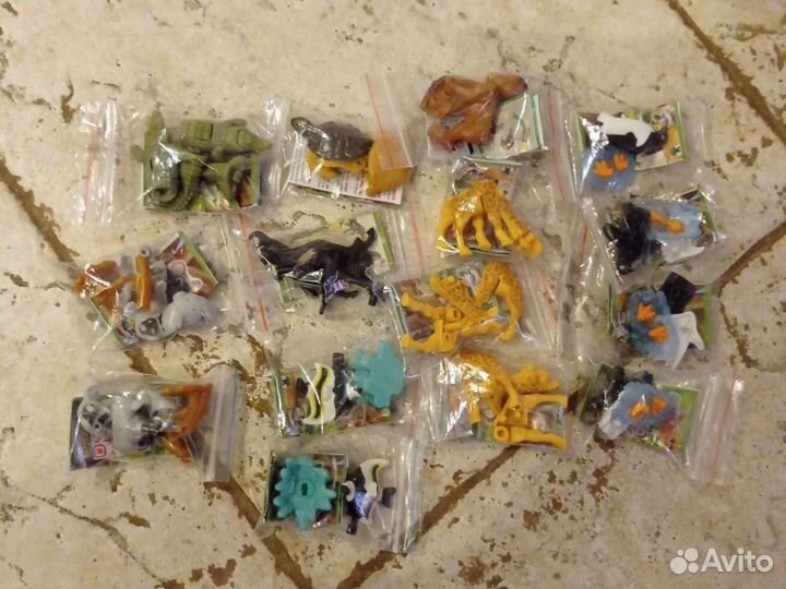 Kinder Natoons North America Beloved Animals