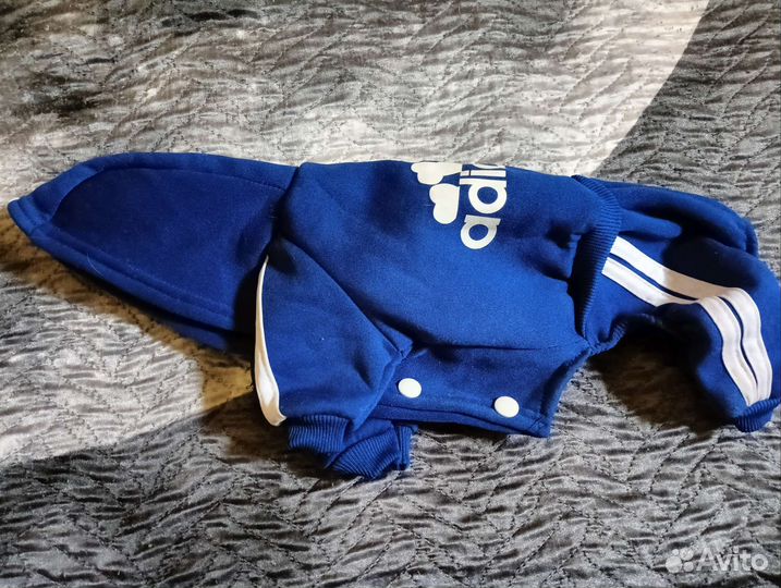 Костюм для маленькой собачки