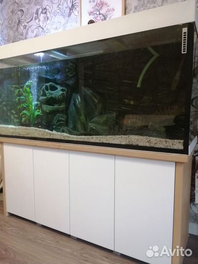 Аквариум на 500 литров