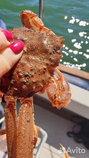 Морская рыбалка и морские прогулки