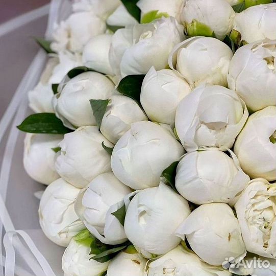 Пионы Букеты Цветы Доставка