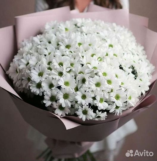 Хризантема Доставка цветов Букеты