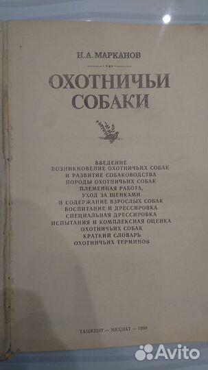 Охотничьи собаки