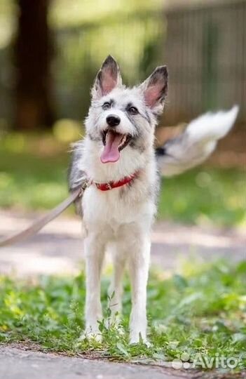 Подари мне шанс прожить жизнь в семье