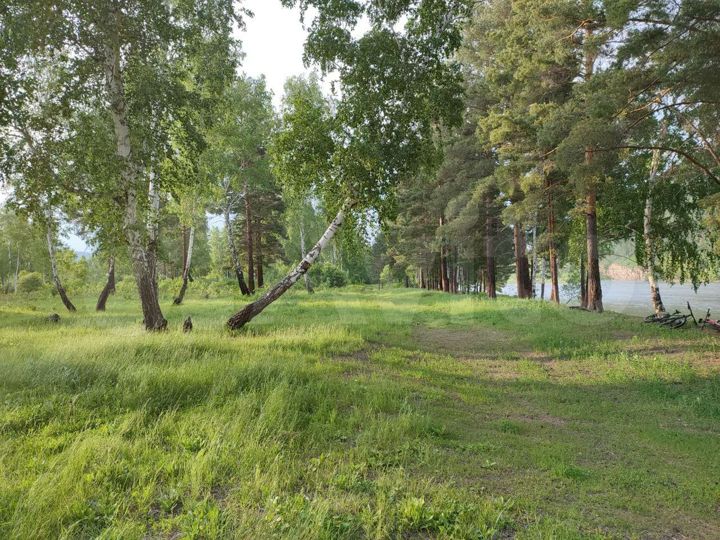 Участок 7,8 га (СНТ, ДНП)