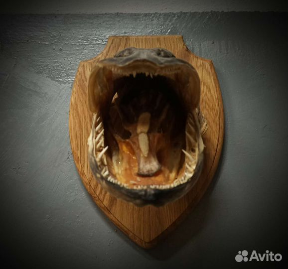 Медальон для трофеев