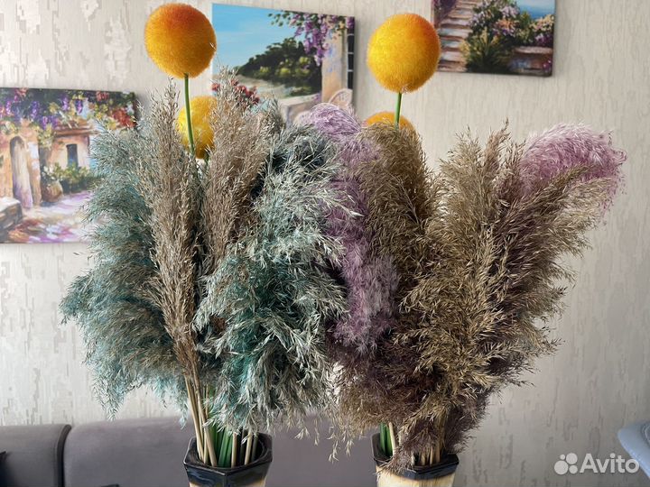 Цветы сухоцветы букет