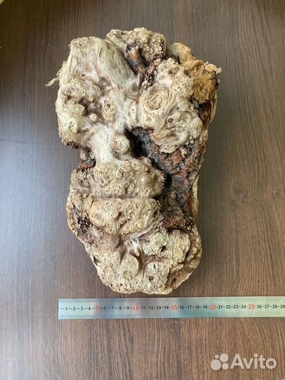 Дрифтвуд -морская коряга