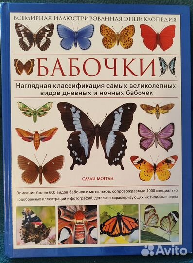 Детская энциклопедия Насекомые