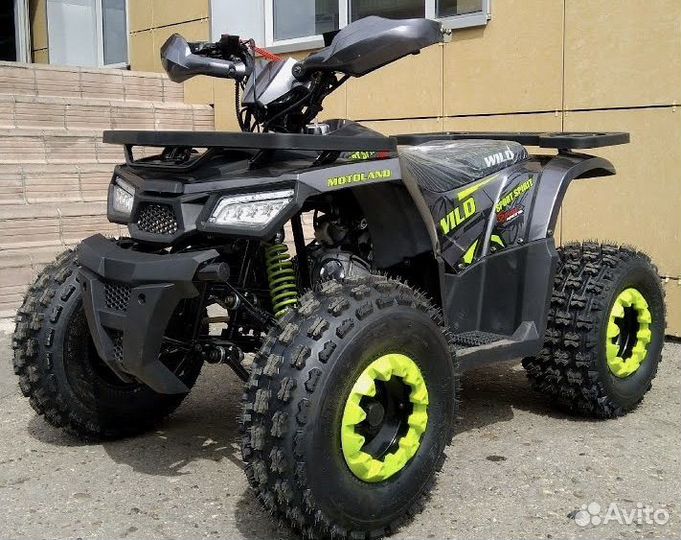 Motoland wild 125 pro