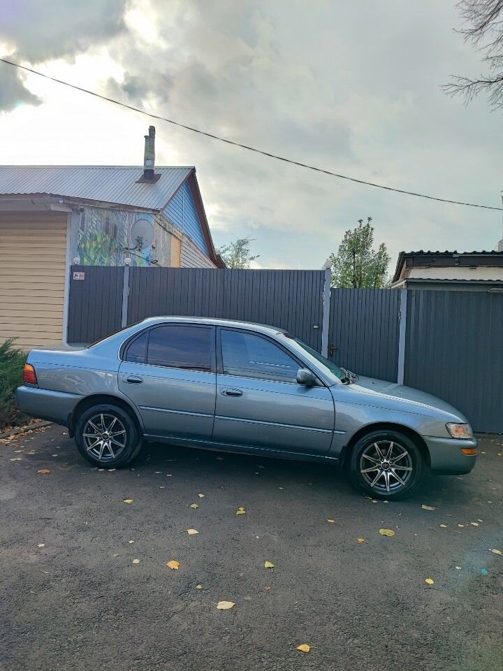 Toyota Corolla: фото владельца