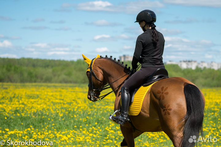 Стрижка лошадей (груминг)