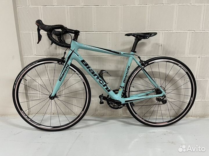 Bianchi intrepida online ultegra