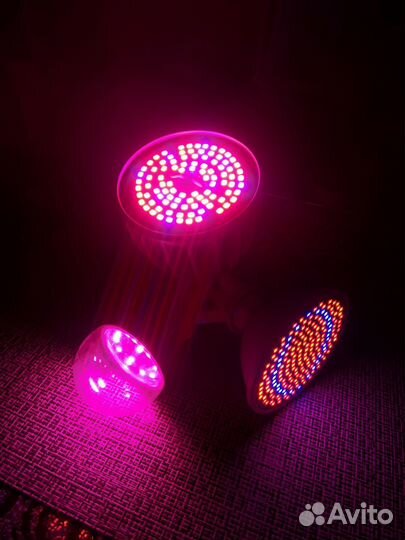 Разные LED лампы для растений