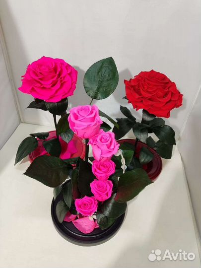 Роза в колбе оптом