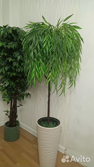 Ива искусственная