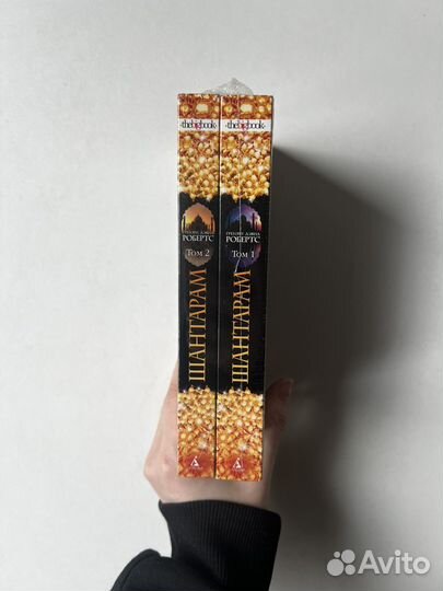 Шантарам 2 тома
