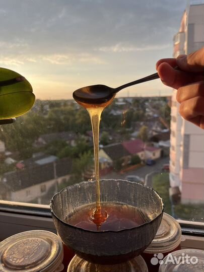 Мёд натуральный цветочный (Мед)