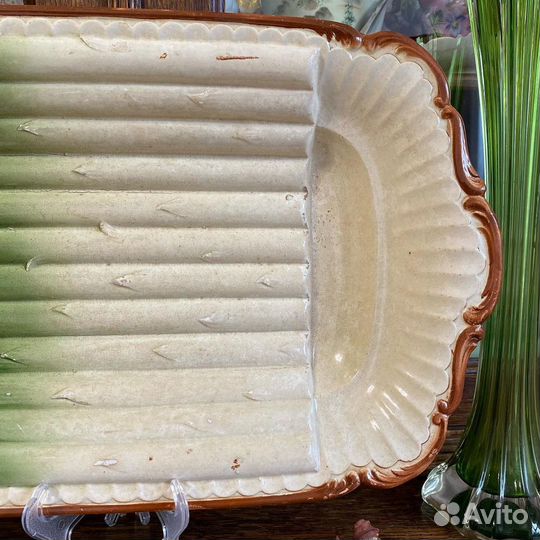 Сухарница спаржа