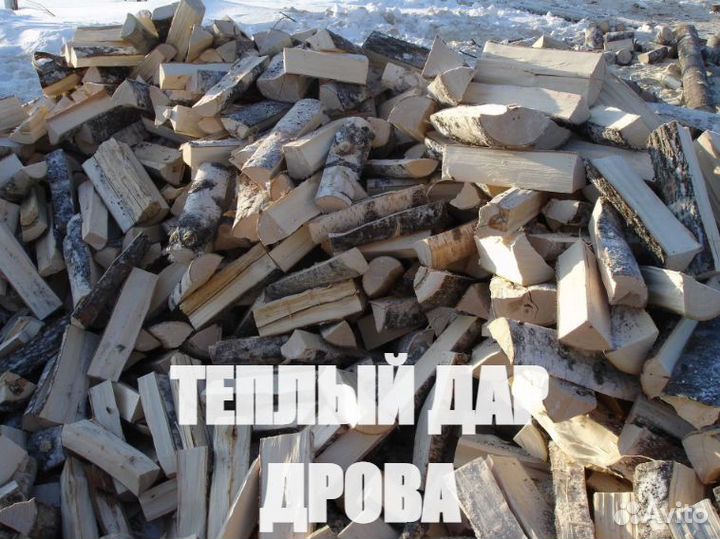 Дрова береза