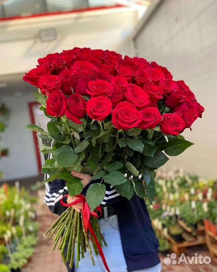 Розы высокие Доставка цветов