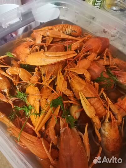 Живой рак речной вкусный