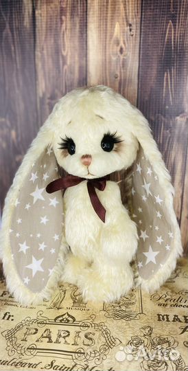 Зайка Звездочёт