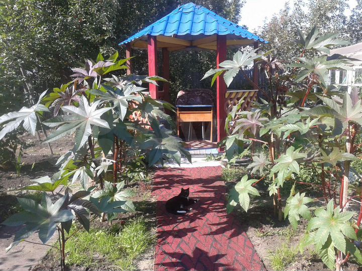 Дача 90 м² на участке 8 сот.