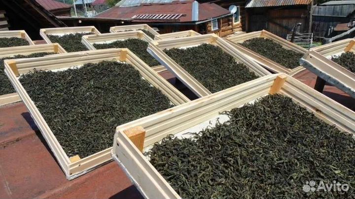 Иван чай ферментированный оптом