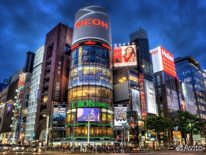 Экскурсия — Токио — Топ-5 символов Токио: живой ра