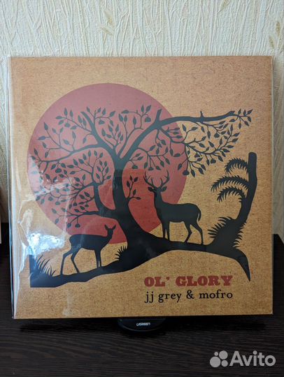 JJ Gray & Mofro - OL' glory