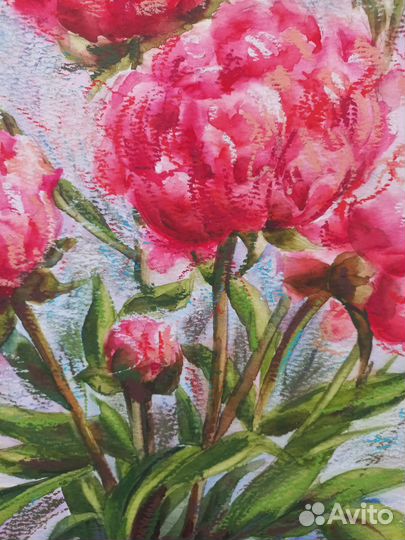 Картина цветы пионы