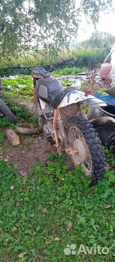 Кроссовый иж