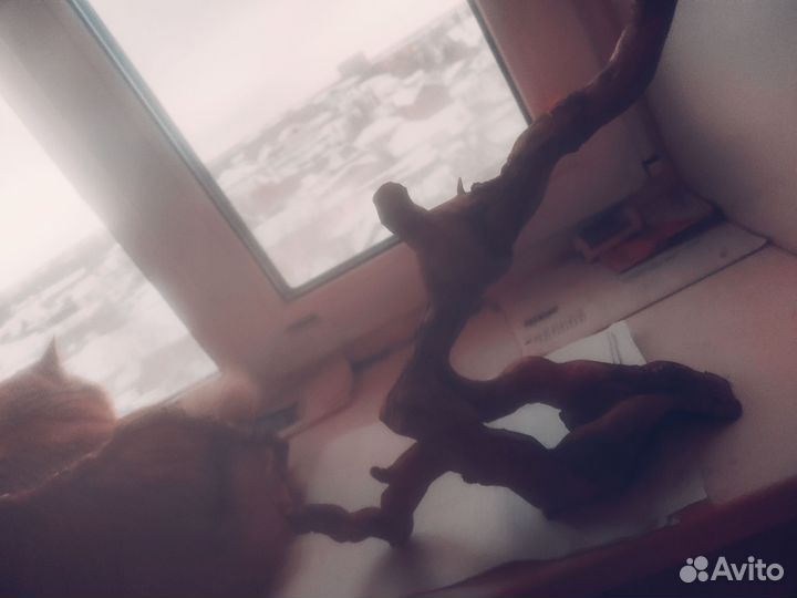 Натуральная коряга с вросшими камнями