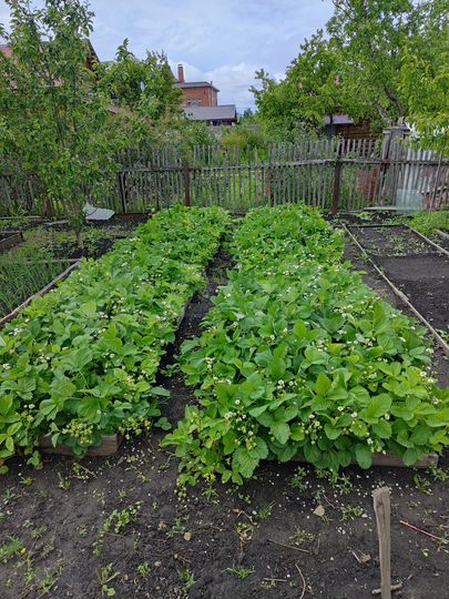 Дача 52,5 м² на участке 5,5 сот.