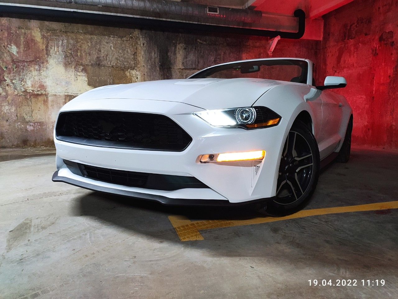 Ford Mustang: фото владельца