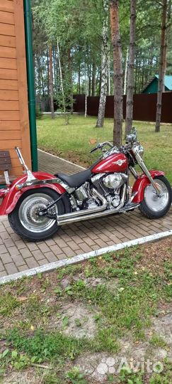 Harley davidson fat boy