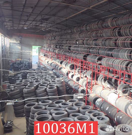 Dunlop Graspic DS3 195/65 R15 94V