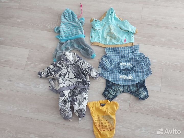 Одежда для собак