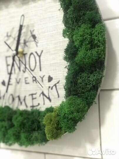 Часы с стабилизированным мхом