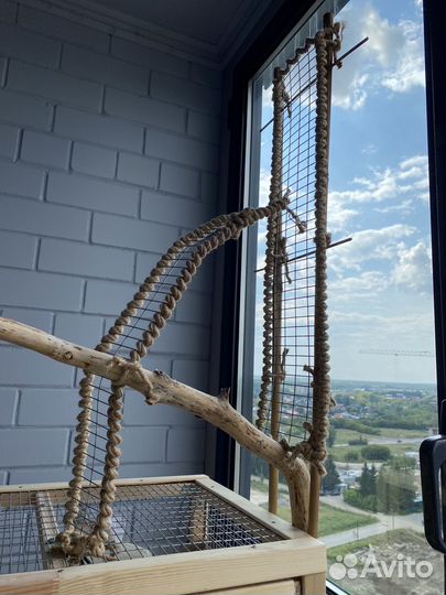 Клетка для корелл