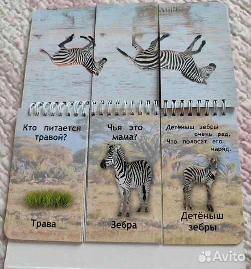 Развивающие карточки машины дикие животные книга