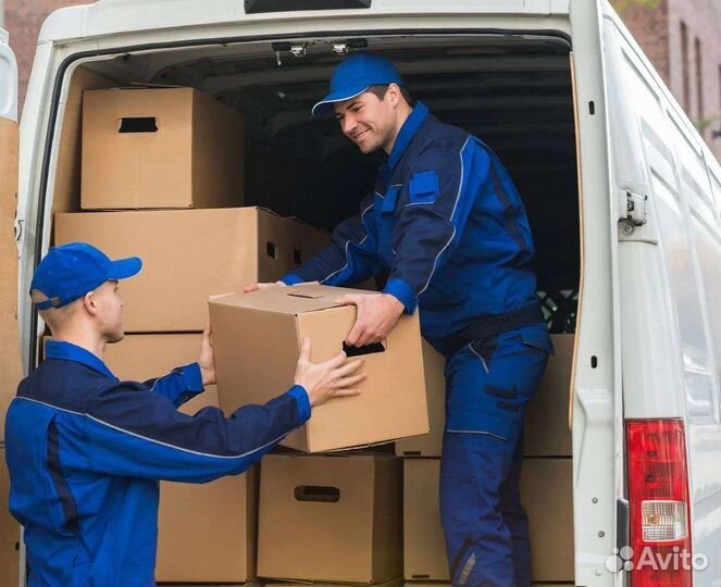 Грузчик с ежедневной оплатой