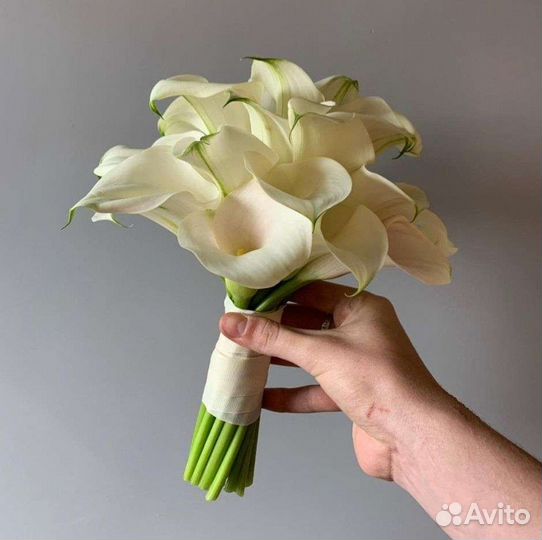 Каллы букет