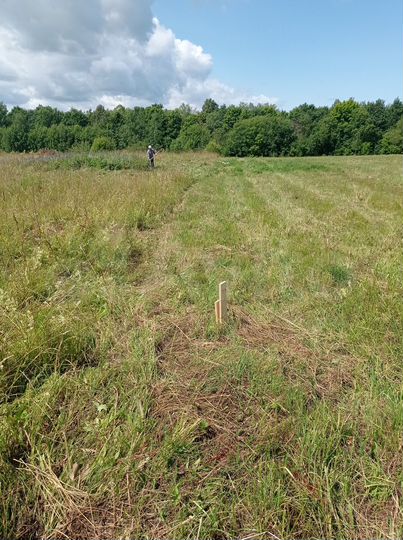 Участок 13 сот. (ИЖС)